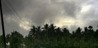 Titli turns into a severe cyclonic storm