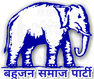 bsp logo