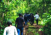 Ecotourism Odisha -jungle_trek