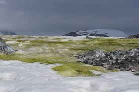 green snow mountain-2