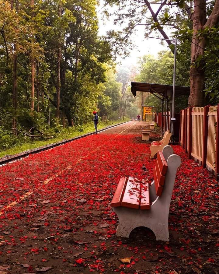 malattur station-1